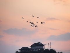 -芙蓉镇景区