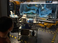 -奥兰多迪士尼动物王国乐园