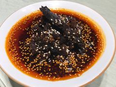 -院8里·少城记忆老川菜(宽窄巷子店)