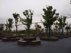 -春花秋色城市公园