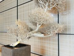 -深圳中洲万豪酒店