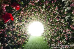 -爱城婚纱摄影·品质严选店
