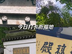 -云栖竹径