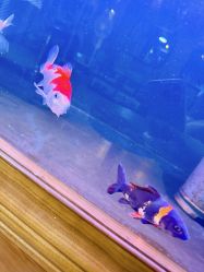 -青木造型HAIR·あおき髪を刈る潮人店