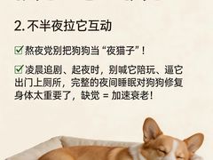 -瑞鹏宠物医院·骨外科·心肾科·肿瘤科(九亭店)