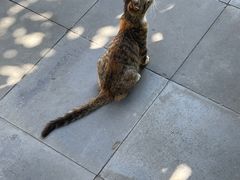 -李叔同故居纪念馆