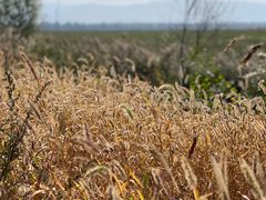 -野鸭湖国家湿地公园