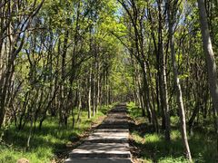 -南京金牛湖风景区