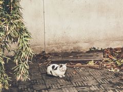 -二楼南书房