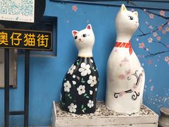 -猫咪博物馆(顶澳仔猫街店)