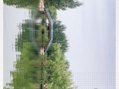 -白洋淀景区