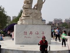 -曹州牡丹园