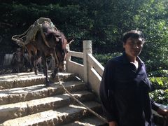 -大明山自然探索公园