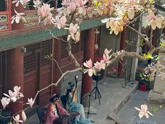 -潭柘寺景区