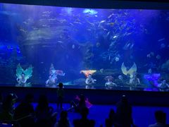 -多彩贵州城极地海洋世界