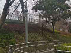 -上海港国际客运中心1号游艇码头