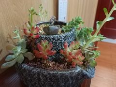 -和辰御足
