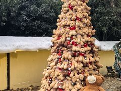 -HERRE·FARM 赫尔露营农场·团建聚会包场