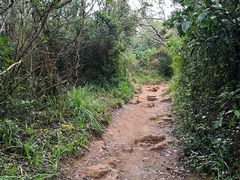 -霍顿平原国家公园