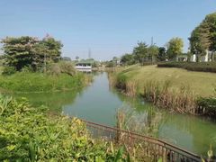 -王借岗森林公园