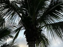 -深圳湾公园(南山区)