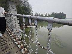 -东湖落雁景区