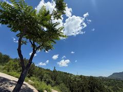 -白水寺森林公园