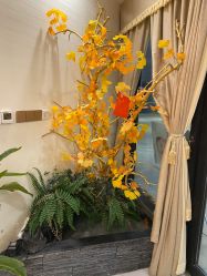 点击看大图 -芳朵美容养生SPA