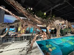 -国家自然博物馆