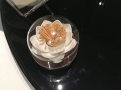 -江仙雅居(中航国际店)