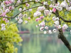 -苏堤停车场