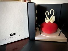 爱心天鹅-BLACKSWAN黑天鹅(环球店)