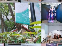 -湖北省美术院美术馆