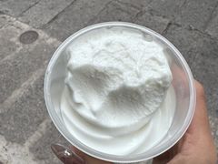-洪馨椰子