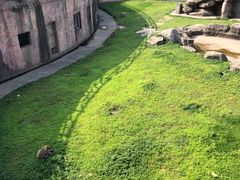 -南昌动物园