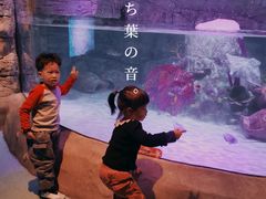 -沈阳海洋探索中心