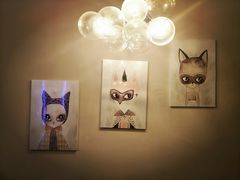 -有猫儿腻咖啡厅.猫咖