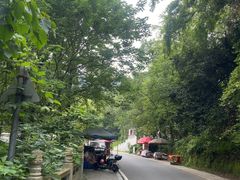 -云碧峰国家森林公园