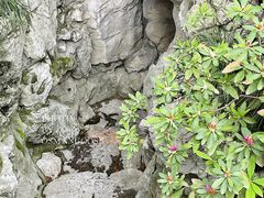 -胡雪岩故居