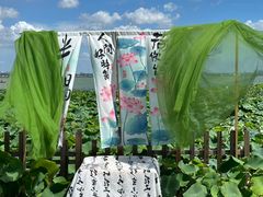 -七的湖·晚芳亭·阳澄湖农家菜·大闸蟹(莲花岛店)