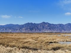 -野鸭湖国家湿地公园