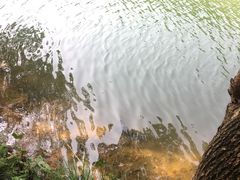 -洪崖丹井