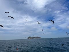 -海驴岛(荣成市)