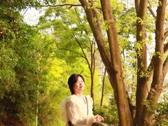 -扬美古镇景区