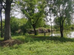 -梁鸿国家湿地公园