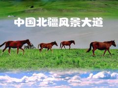 -乌兰布统草原
