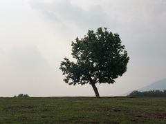 -钟山体育运动公园
