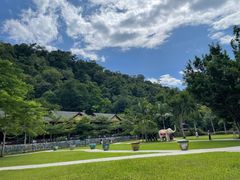 -野象谷景区