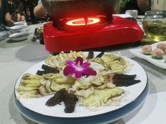 -墨脱石锅椰子鸡•香草鸭•东山羊(大东海店)