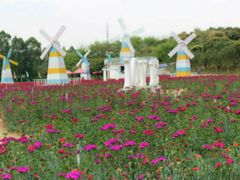 -松山湖南湖湾露营营地